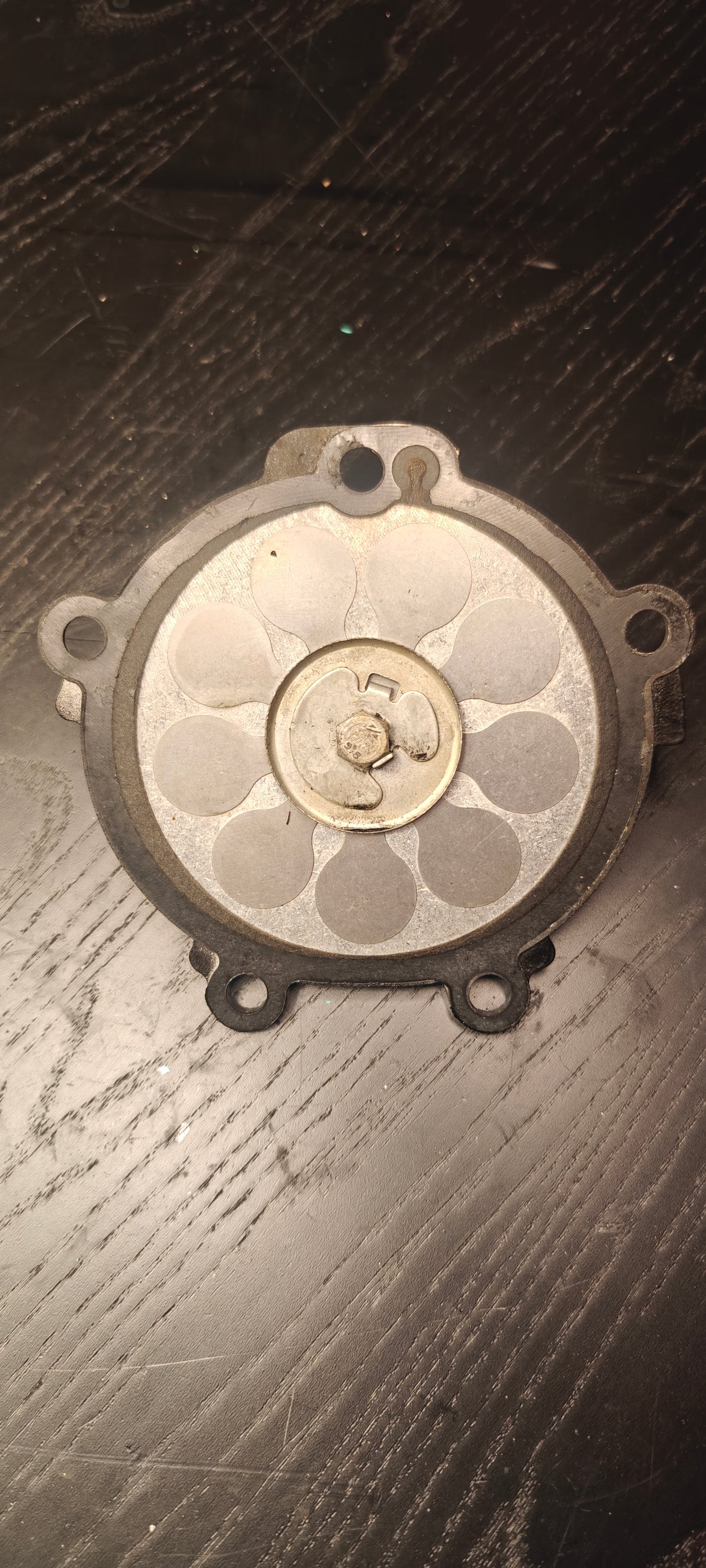 Reed ventil mercury 42887-c1