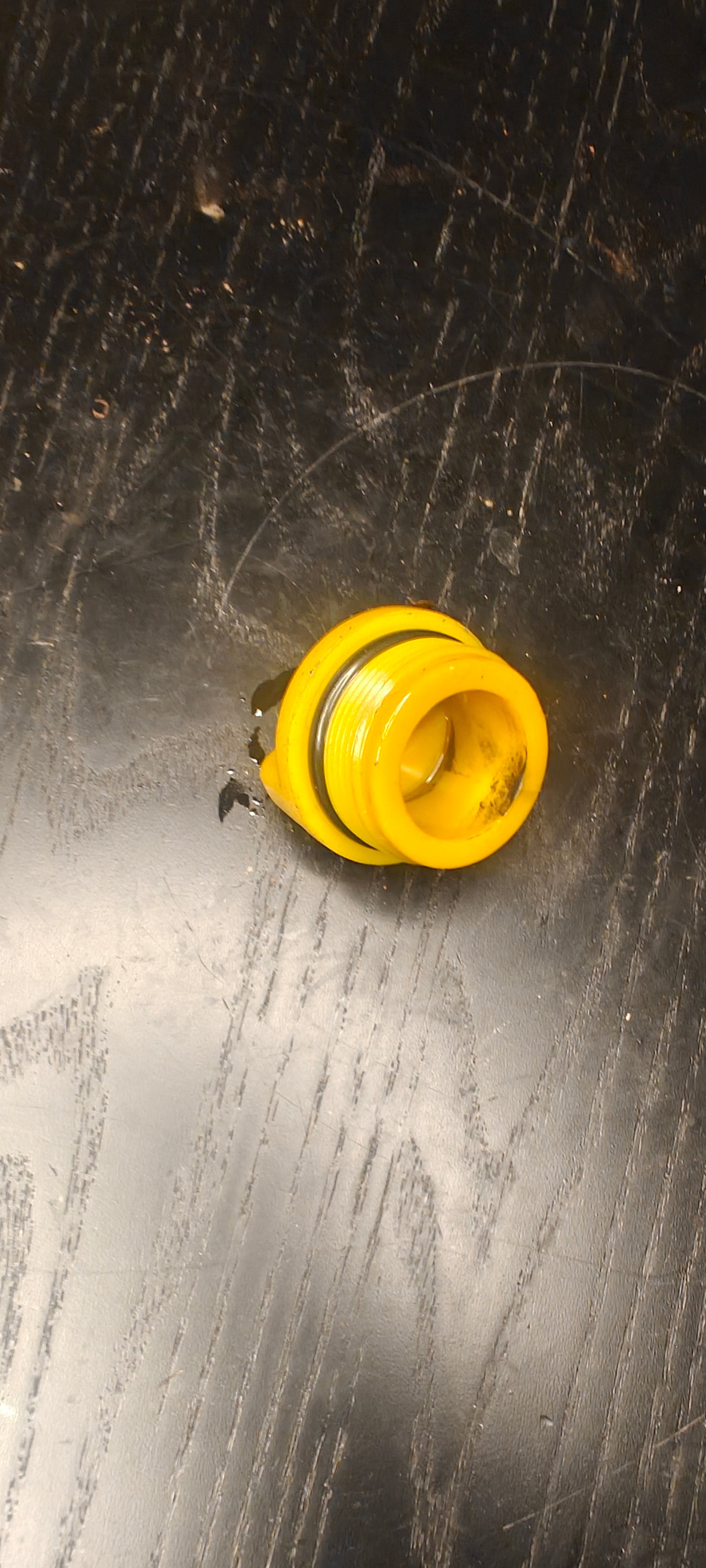 Oljelock mercury
