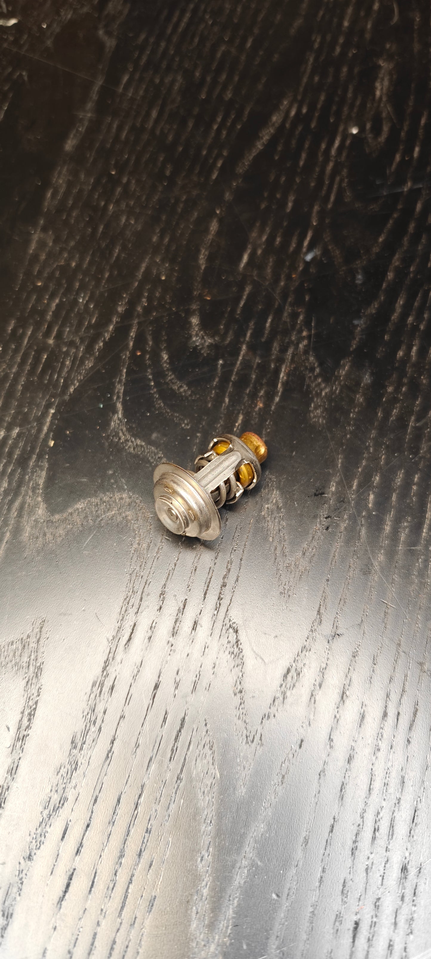 Termostat Evinrude Johnson yamaha mercury mariner