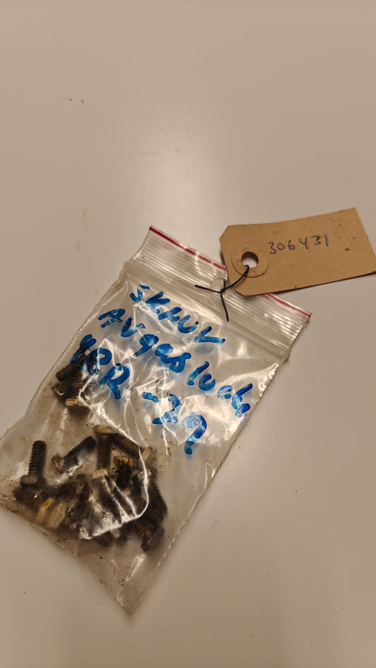 Skruv avgaskåpa omc 306431